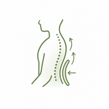 Back & Posture Support